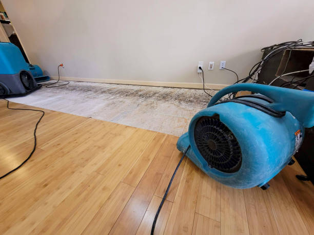 Professional Flood Damage Cleanup technician working in Blounts Creek, NC